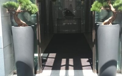 Serviced Apartments in Deutschland: Zahlen, Trends und Chancen 2026